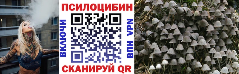 где продают наркотики  Йошкар-Ола  kraken ONION  Псилоцибиновые грибы Magic Shrooms 