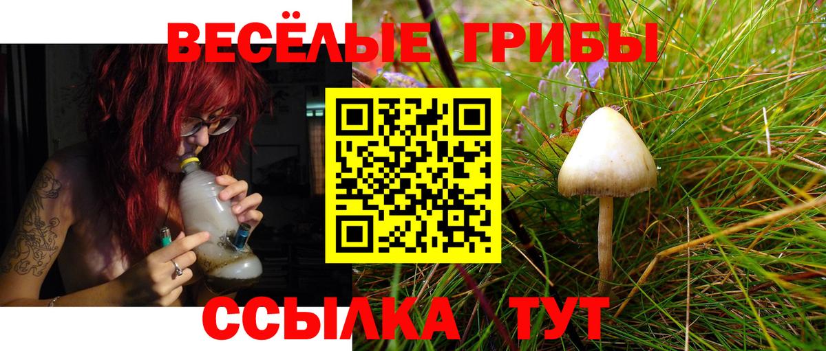 Псилоцибиновые грибы мицелий Йошкар-Ола